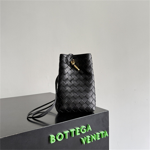 보테가베네타 폰 파우치 백 843890 2026/신상