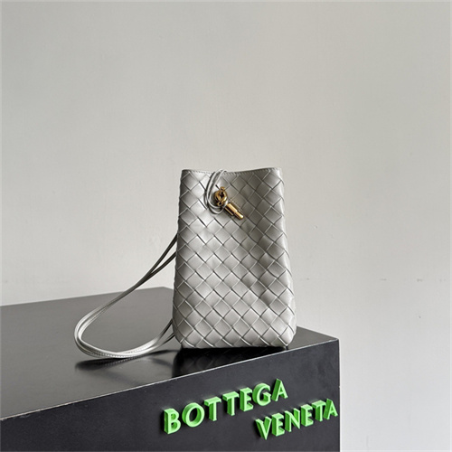 보테가베네타 폰 파우치 백 843890 2026/신상